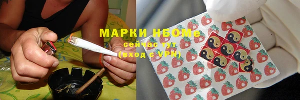 гидропоника Инта