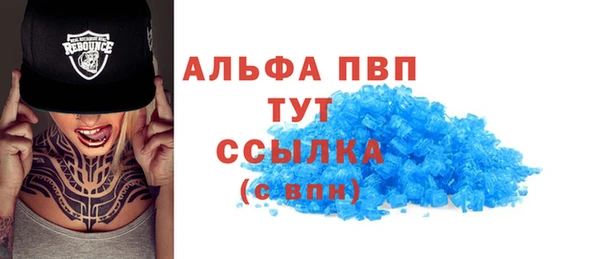 сатива Иннополис