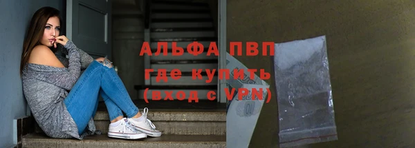 сатива Иннополис
