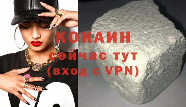 сатива Иннополис