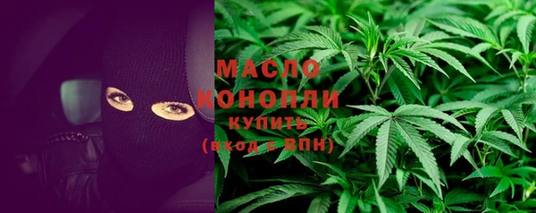 сатива Иннополис