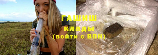 сатива Иннополис