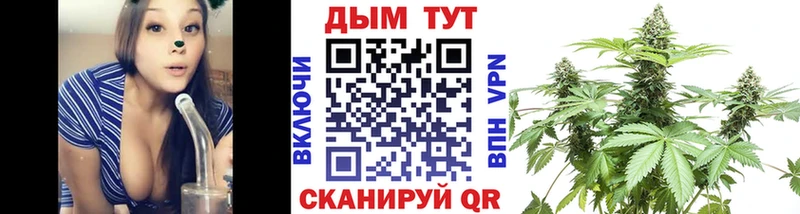 где купить наркоту  omg tor  Шишки марихуана тримм  Кедровый 